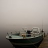 Foggy Morning